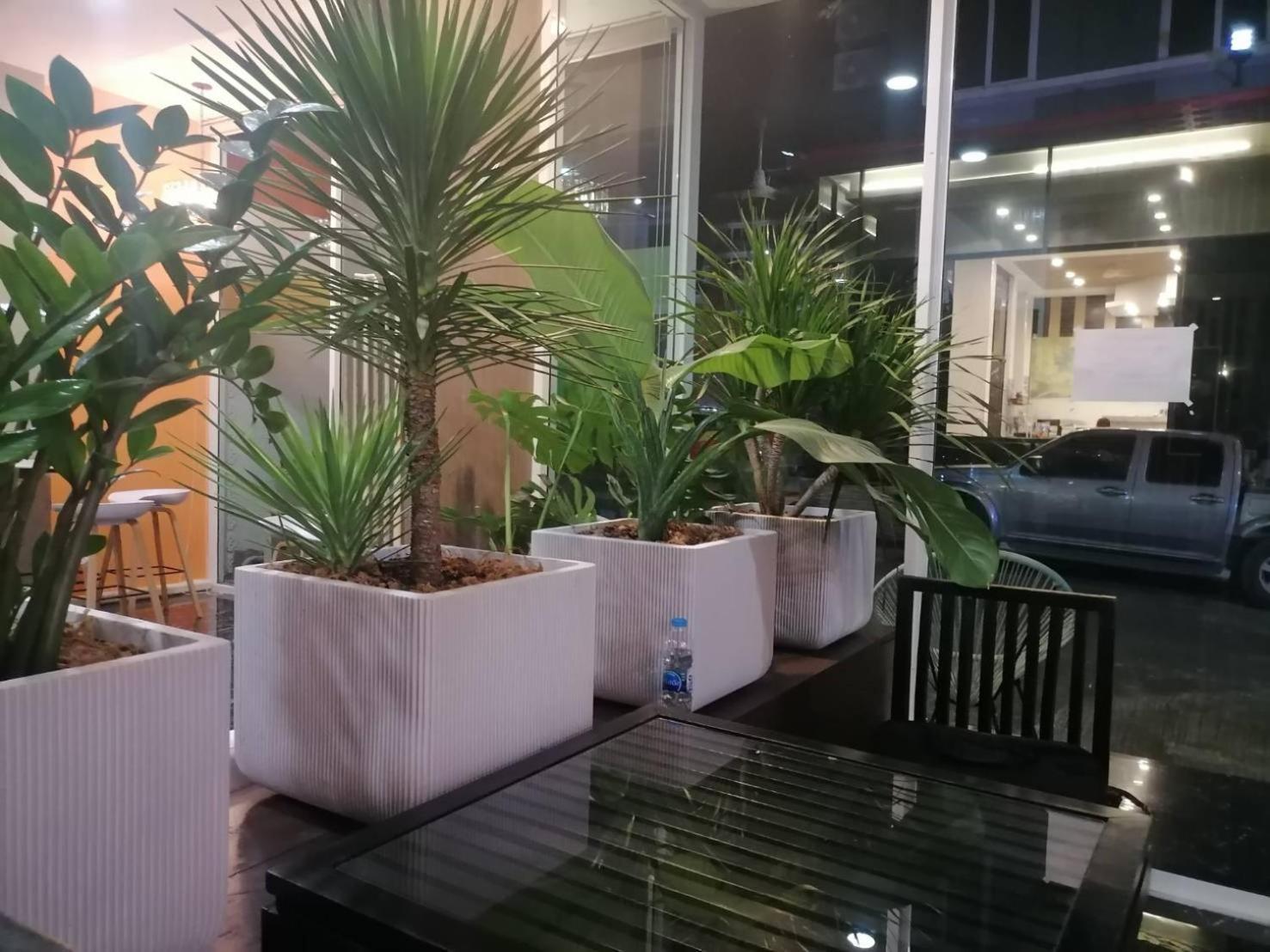Nj Patong Hotel Экстерьер фото